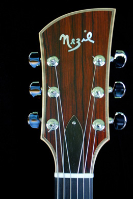 guitars archtop